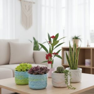 শো-পিচ, গোল ফুল গাছের টব